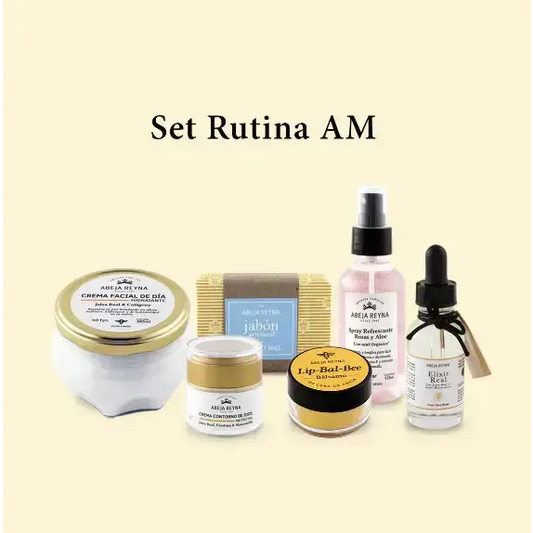 Set Rutina AM